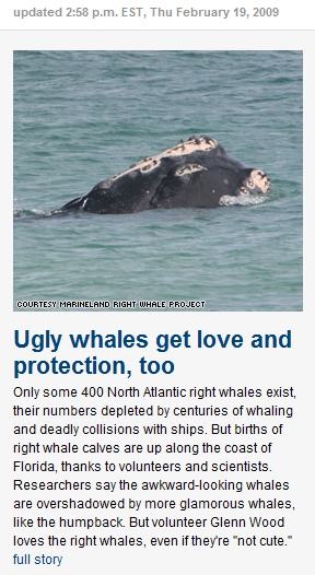 Whales need love too!